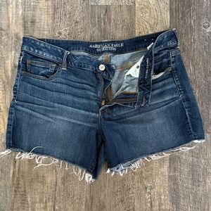 AE Super Stretch Shorts